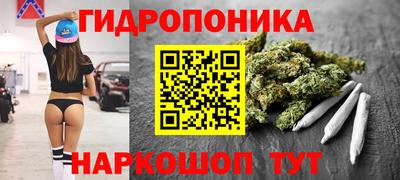 стаф Бузулук