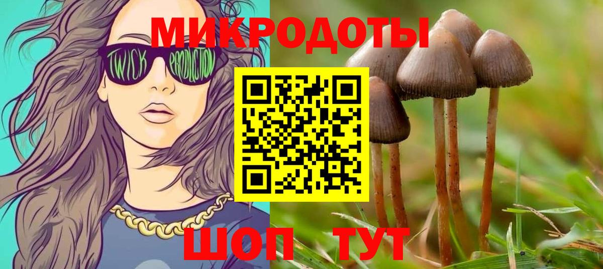 Братск  Галлюциногенные грибы прущие грибы  Вход с VPN  Псилоцибиновые грибы Cubensis 